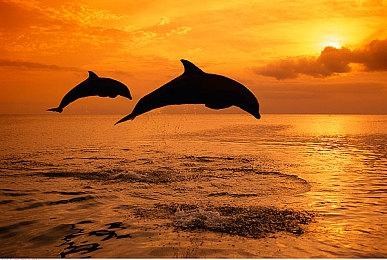 无主之地外传《小缇娜的奇幻之地》公开实机视频