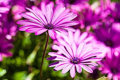 《最终幻想起源：天堂的陌生人》18分钟过场动画